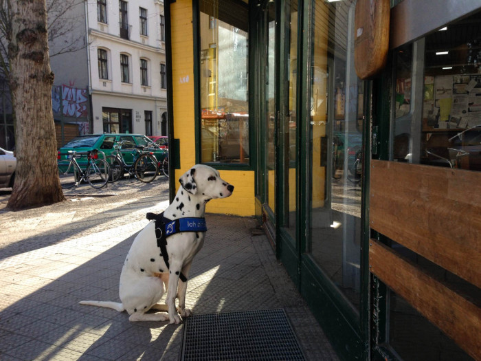 Hunde müssen draußen bleiben Mit Vergnügen Berlin