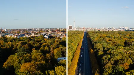 Goldelse / Siegessäule Herbst
