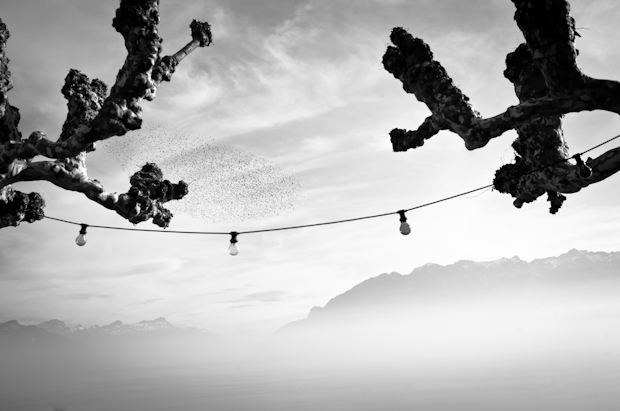 heartlandbymatzehielscher.017