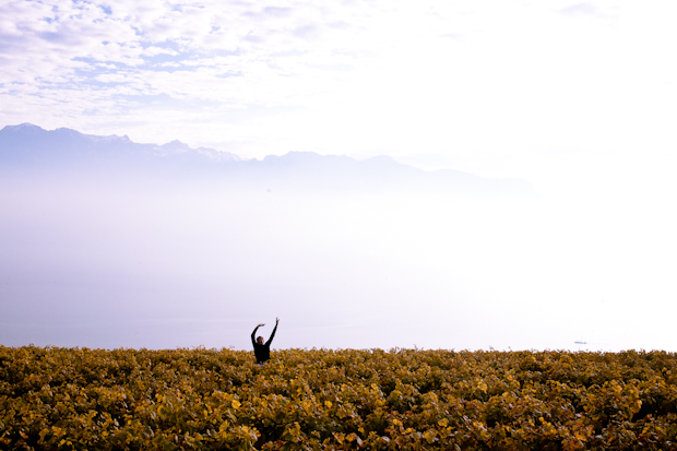 heartlandbymatzehielscher.019