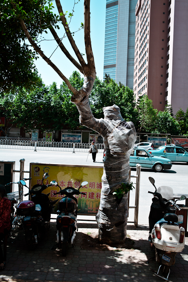 chinabymatzehielscher.016