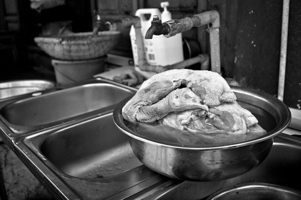 chinabymatzehielscher.053