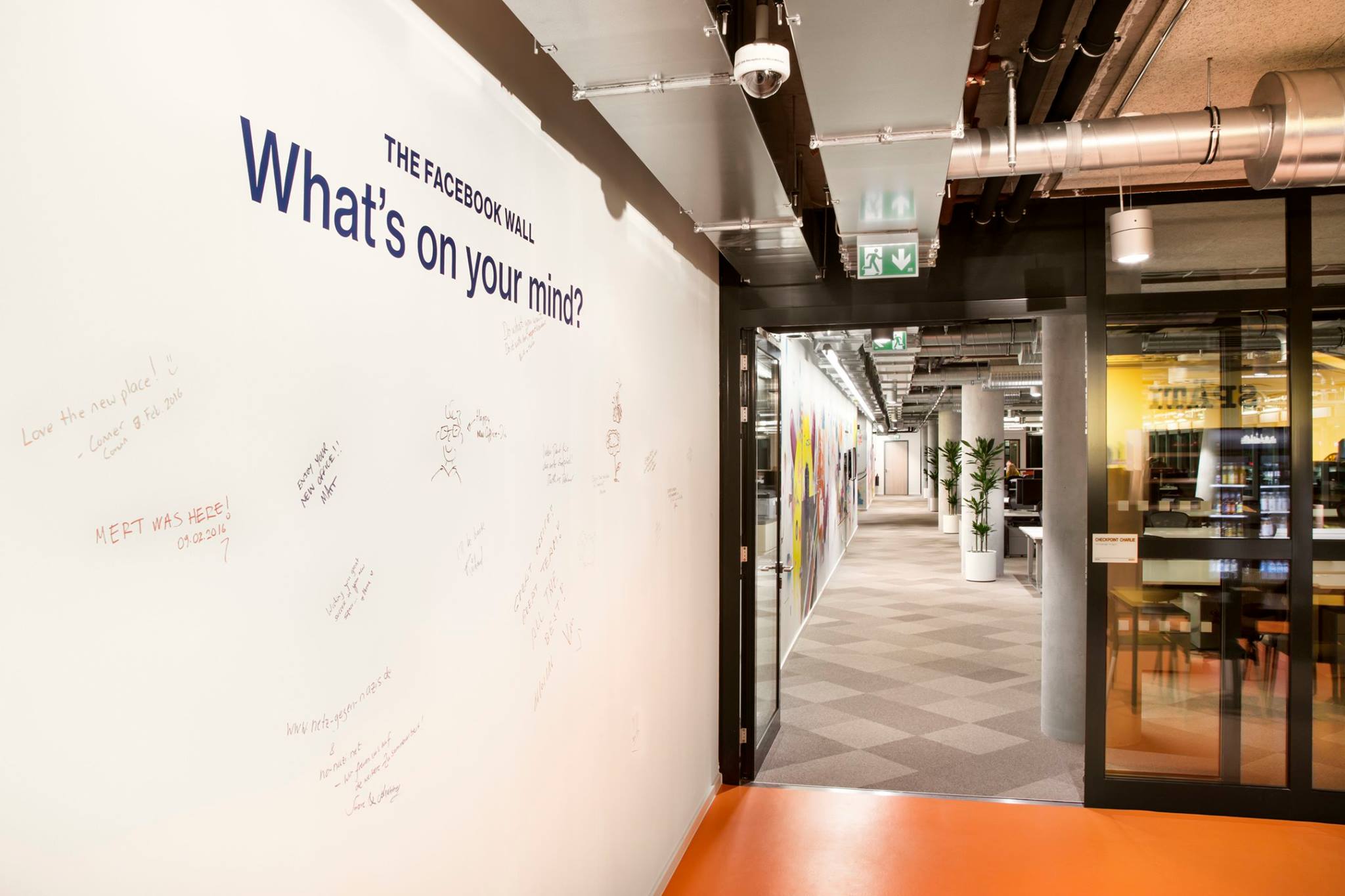 12747242_925574484222775_6517790678129323385_o