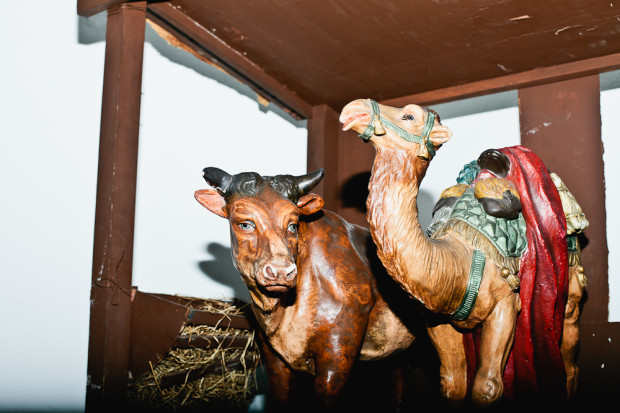 bymatzehielscher.008