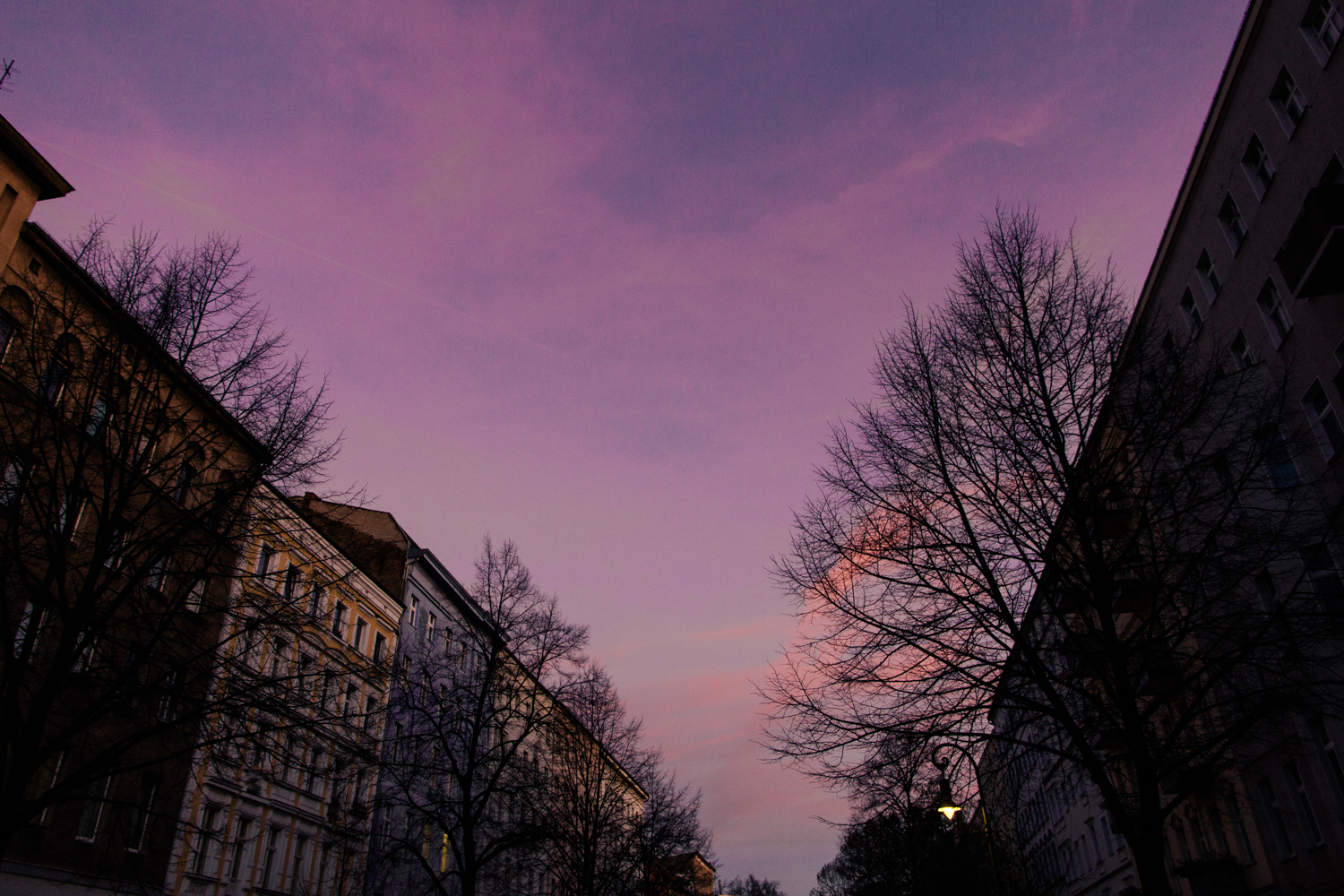 Sara_Dramatic Sky-0812