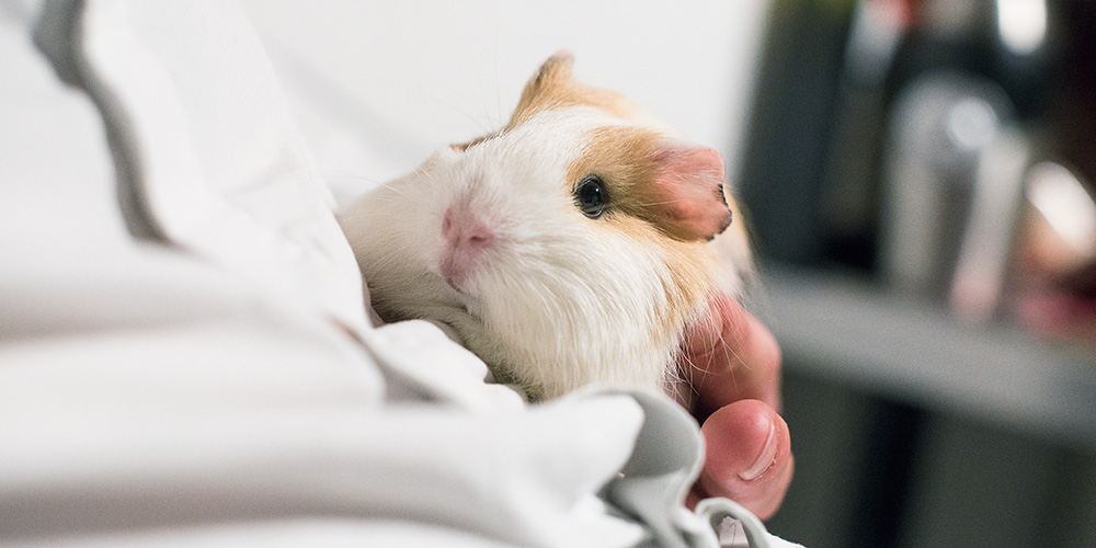 140228oelliMeersau9998web-2