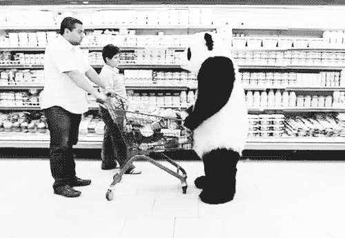 Panda im Supermarkt