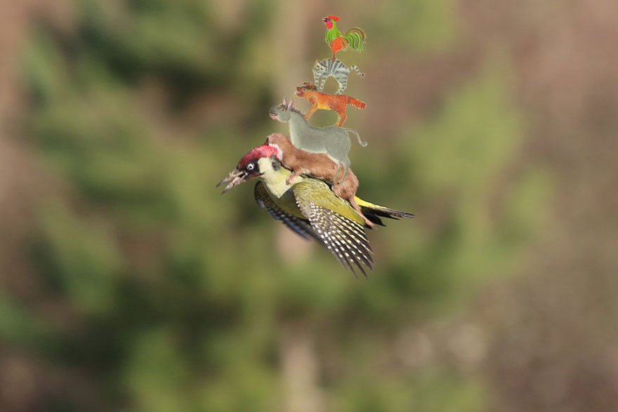 die-bremerstadtmusikanten-riding-weasel-riding-woodpecker