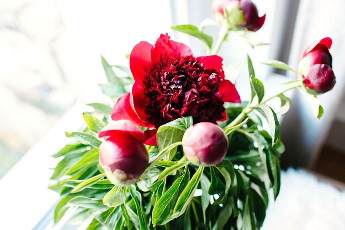 02-imgegenteil_Sophia