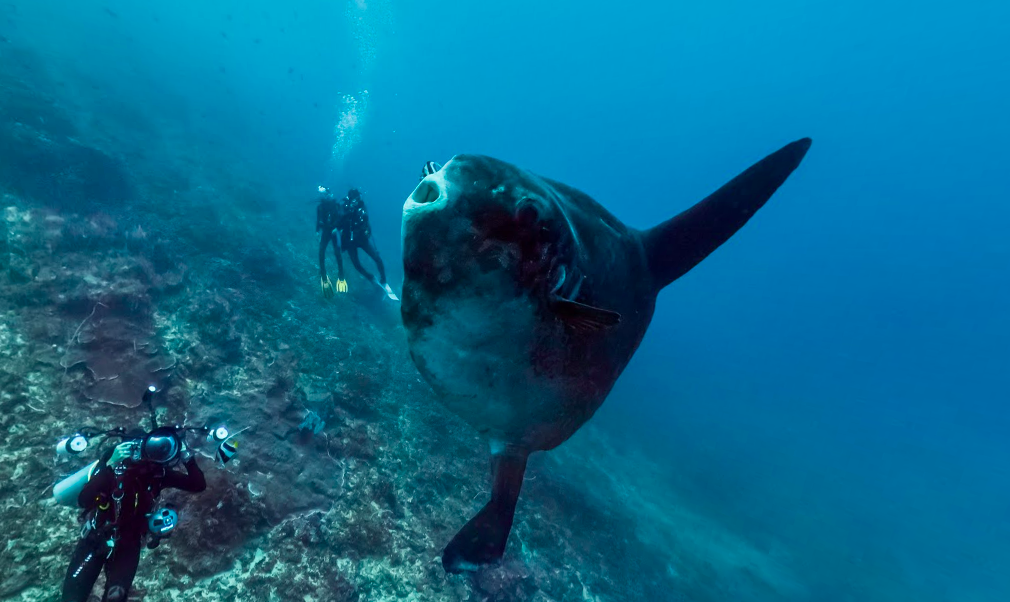 Google Streetview underwater