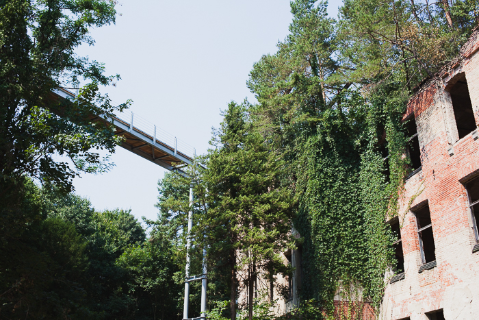 baumwipfelpfad, beelitz