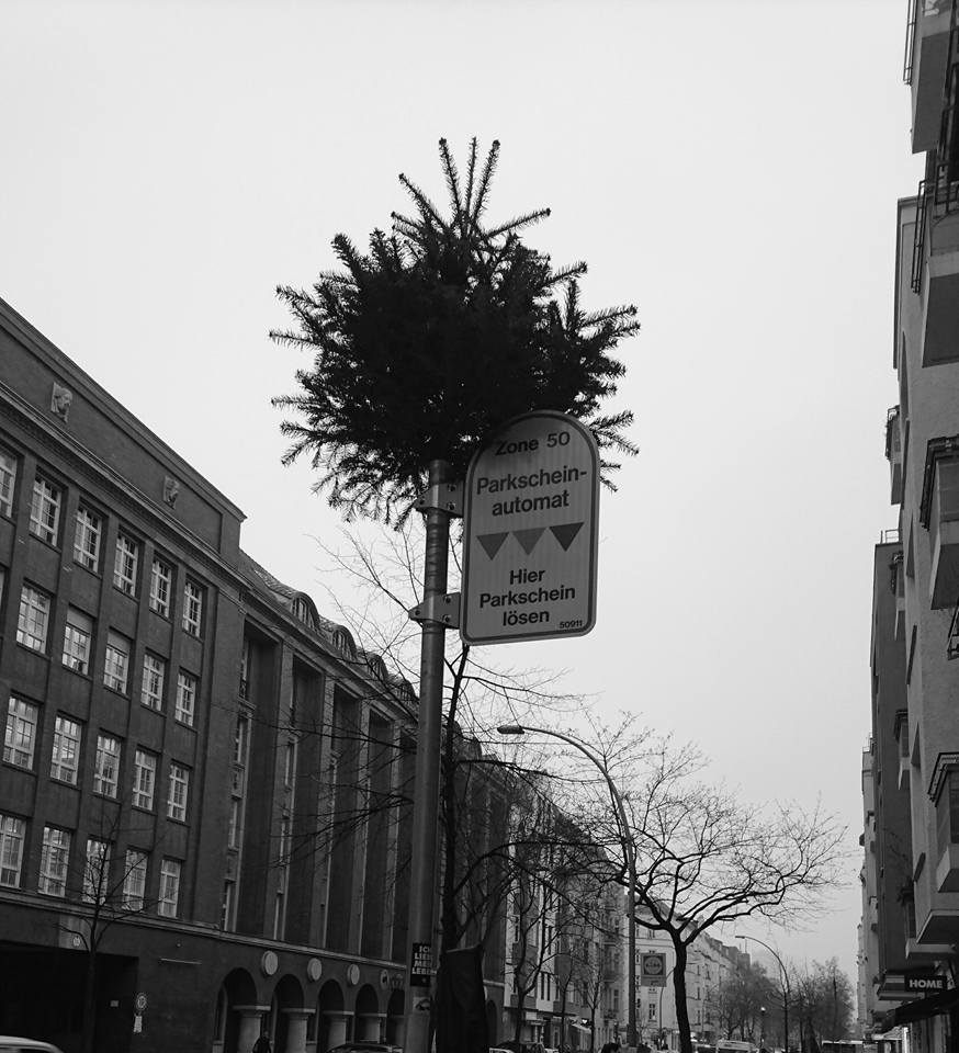 12508838_1211160058912545_7671160443389902263_n