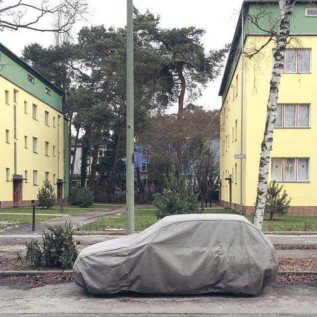 12509199_1179926618688922_1422399857348424777_n