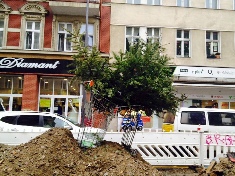 12523906_10207573968379712_1492964734990246304_n