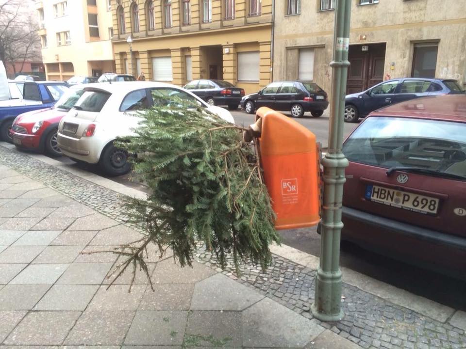 12549041_511876610312_1978757122093543671_n