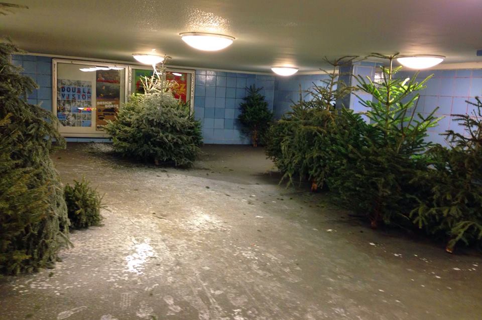 12565365_10153568525537851_3926746974104922637_n