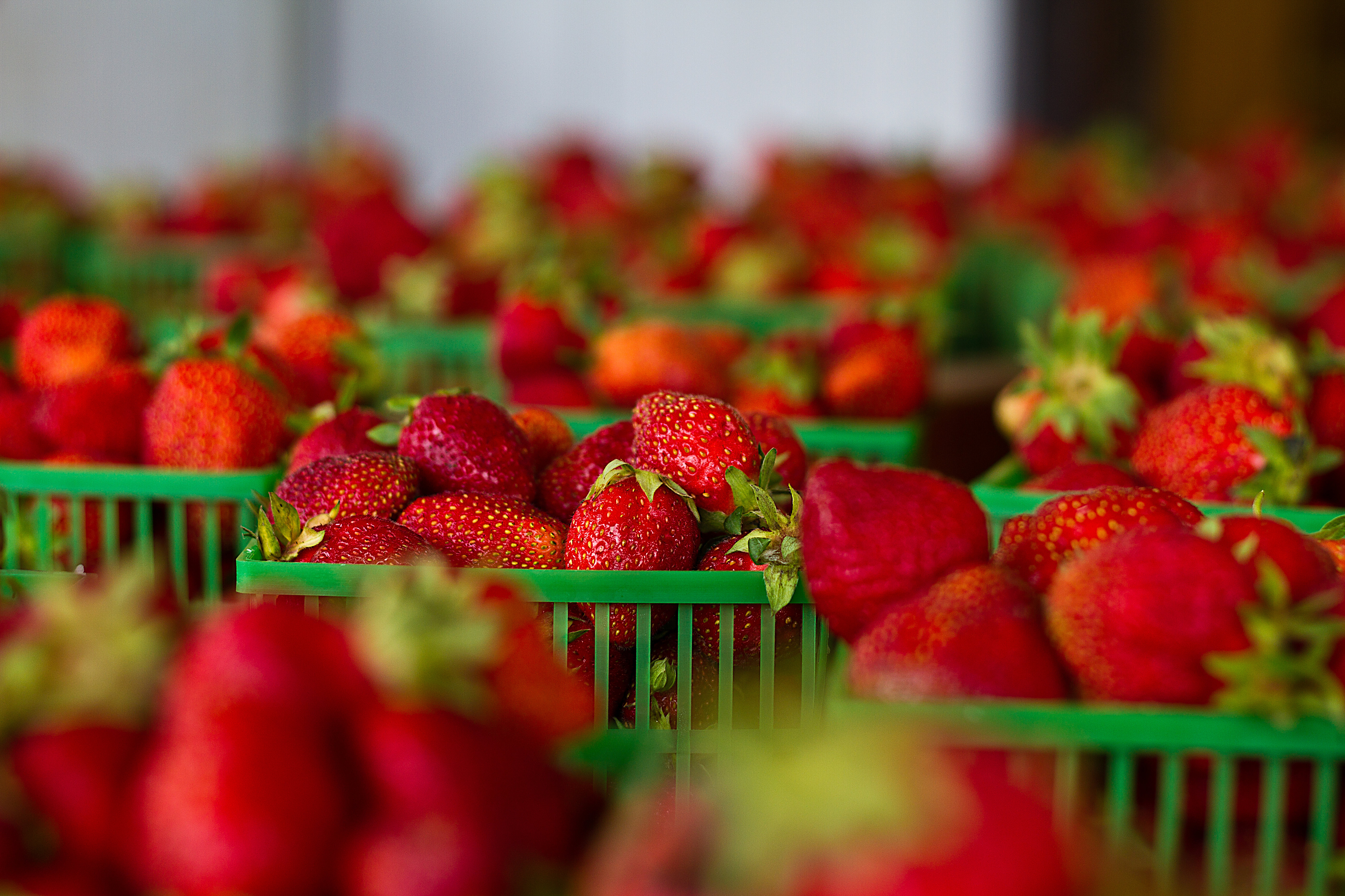 39+ Obst Pflücken Berlin, Wer die süßen früchte frisch vom feld