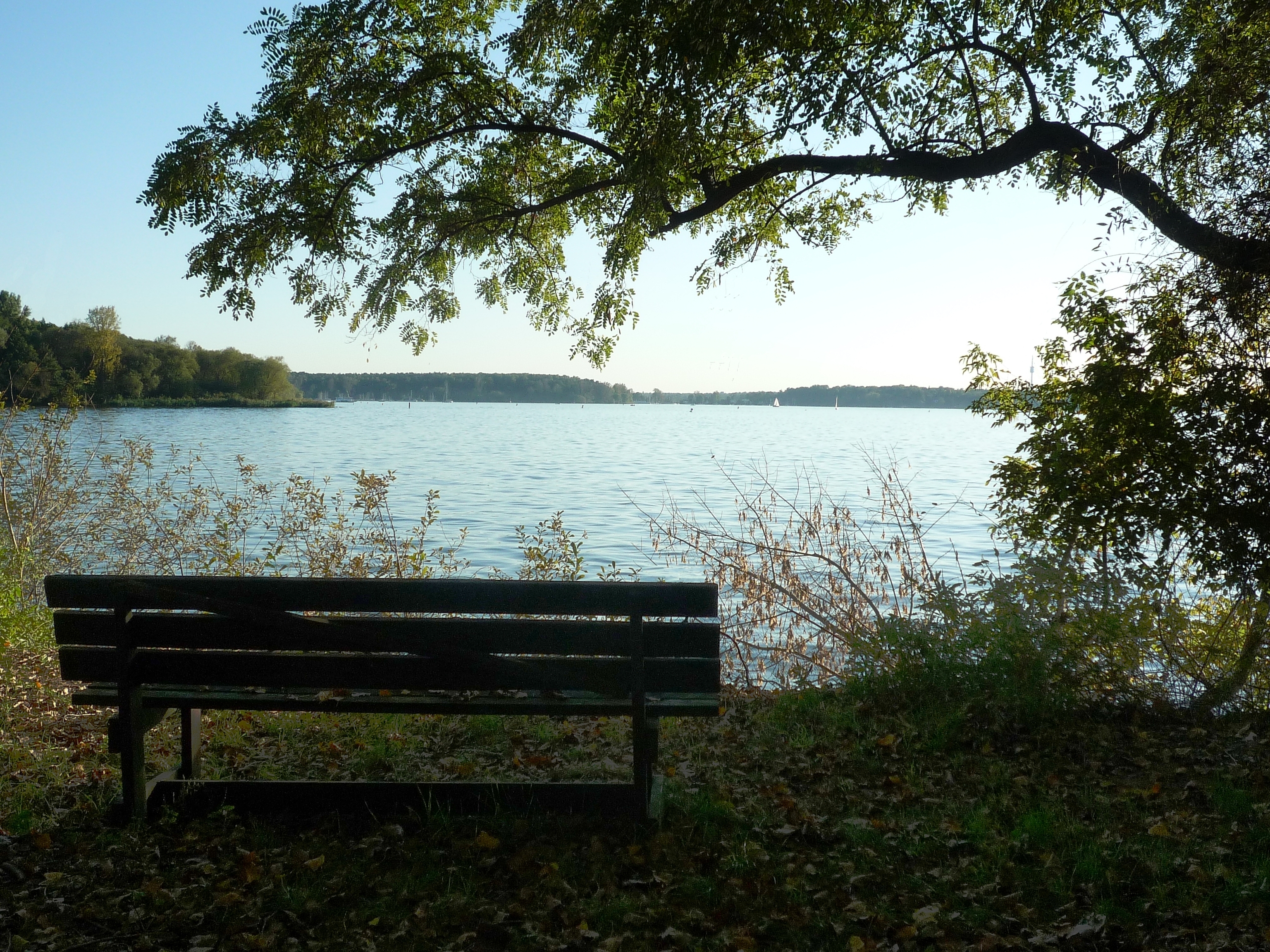 Samstag, 28.07. O MATO Island Festival Insel Lindwerder Mit