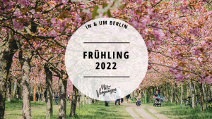 Frühling in Berlin, Tipps, Kirschblüte