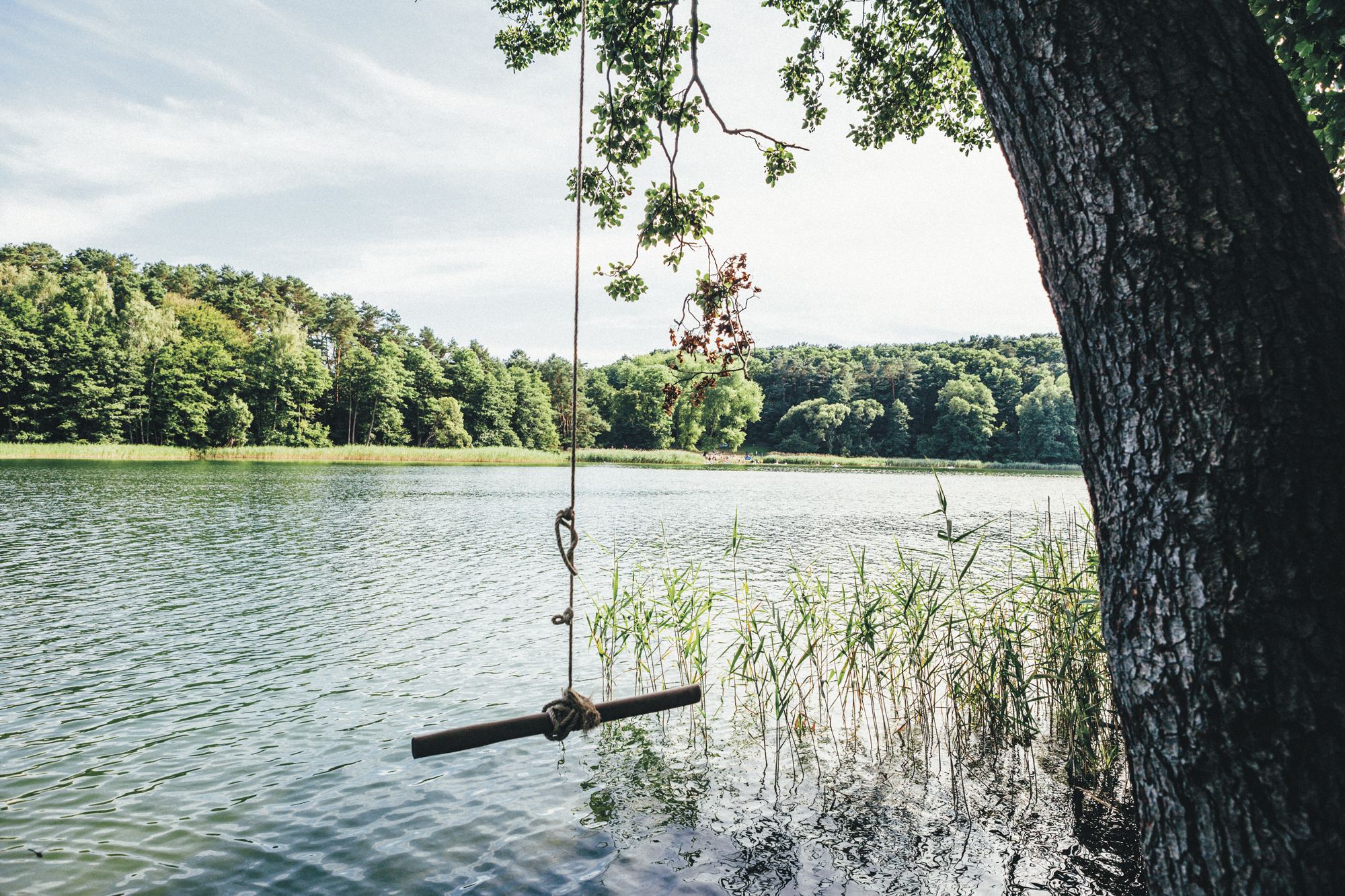 Das Buch "Take me to the Lakes" führt euch zu den schönsten Seen Berlins Mit Vergnügen Berlin