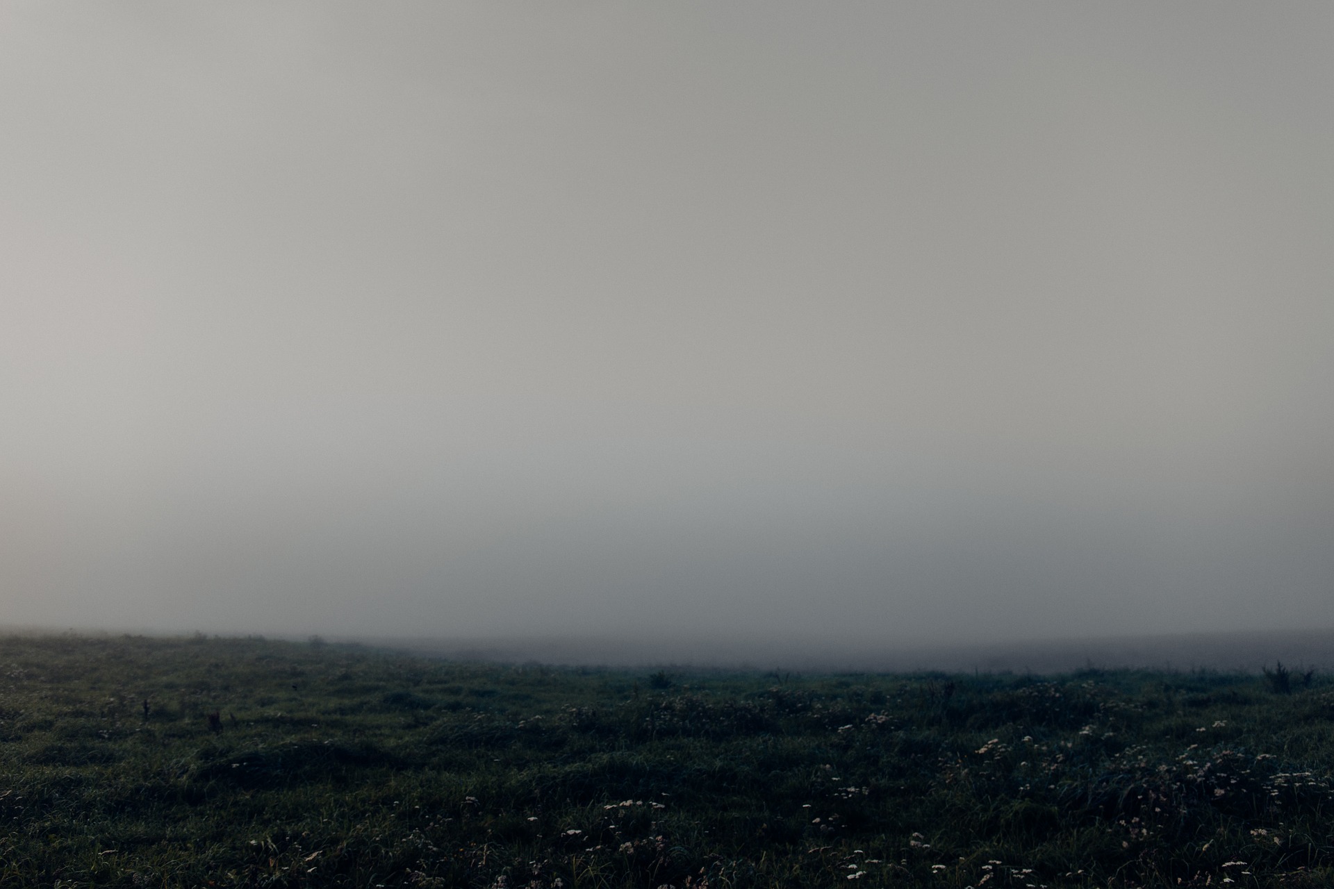 11 Gründe, warum du nicht in Frankfurt an der Oder leben solltest Mit