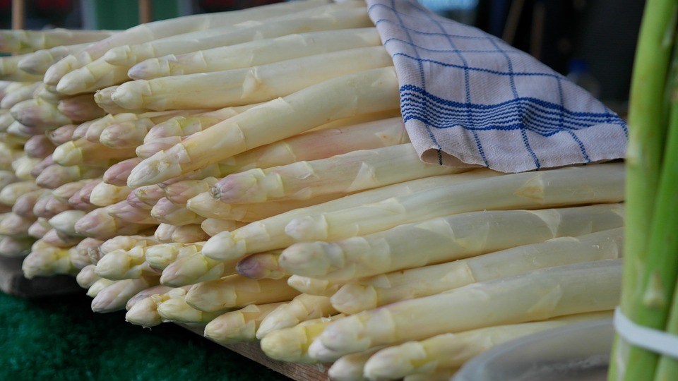 Den Eigenen Spargel Im Spargelhof Elsholz Stechen Mit Vergn gen Berlin