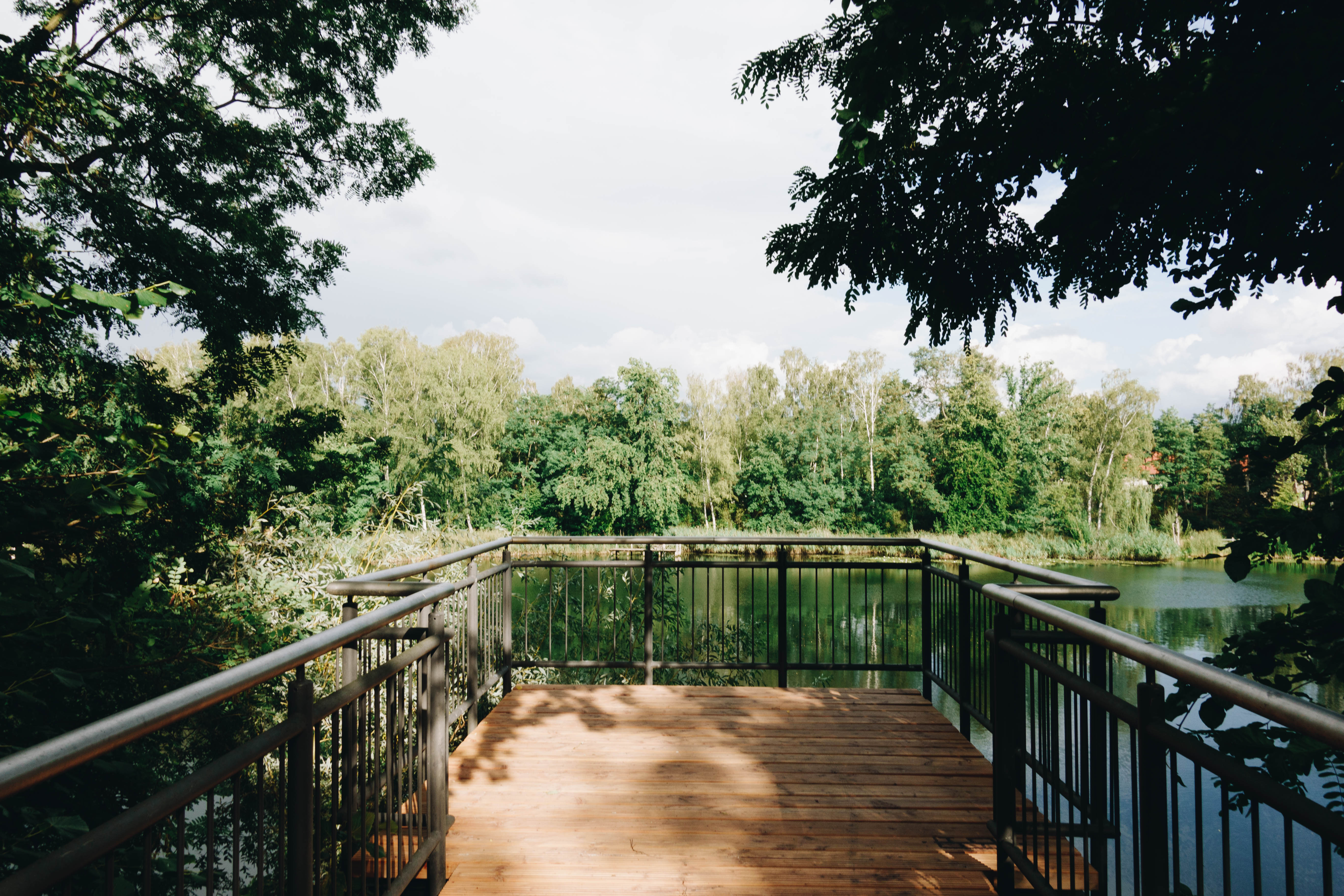 Burgen bestaunen und Pilze mitnehmen im Naturpark Hoher Fläming Mit