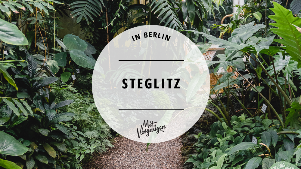 Guide Steglitz–geht–immer