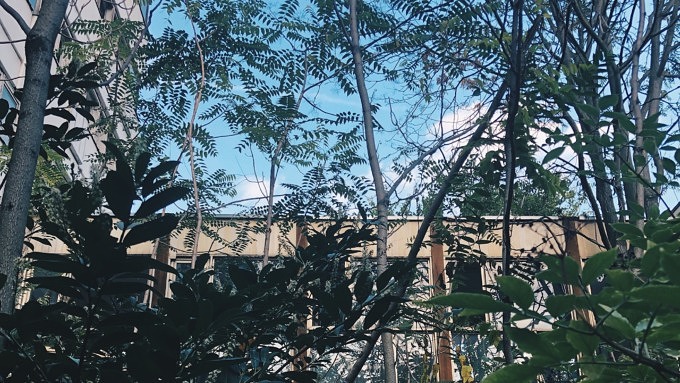 Haus der Statistik, Alexanderplatz, Berlin Art Week