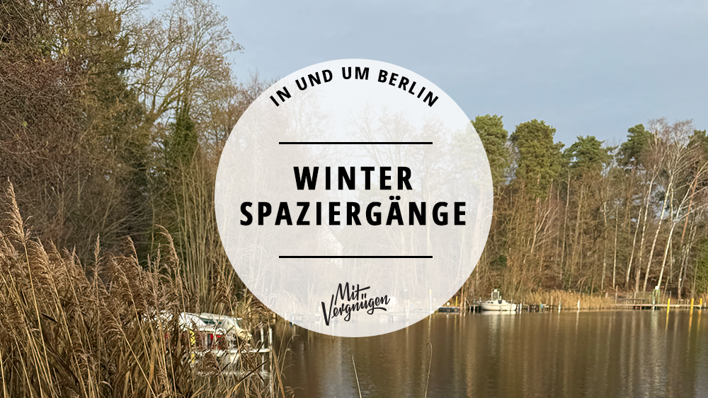 11 schöne Winterspaziergänge in und um Berlin