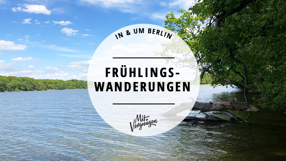 11 schöne Frühlingswanderungen in und um Berlin