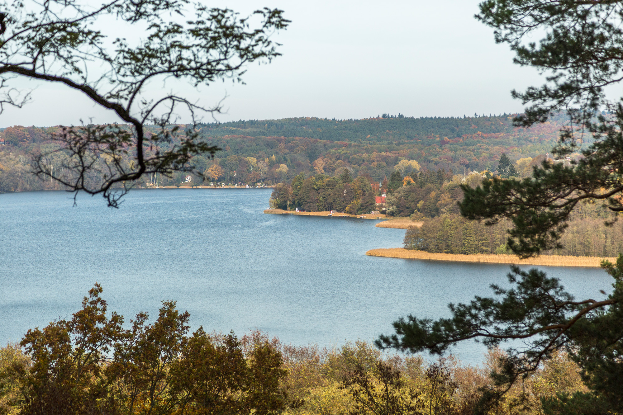 #Unberührte Natur: Weshalb sich ein Besuch von Deutschlands Seenland zu jeder Jahreszeit lohnt